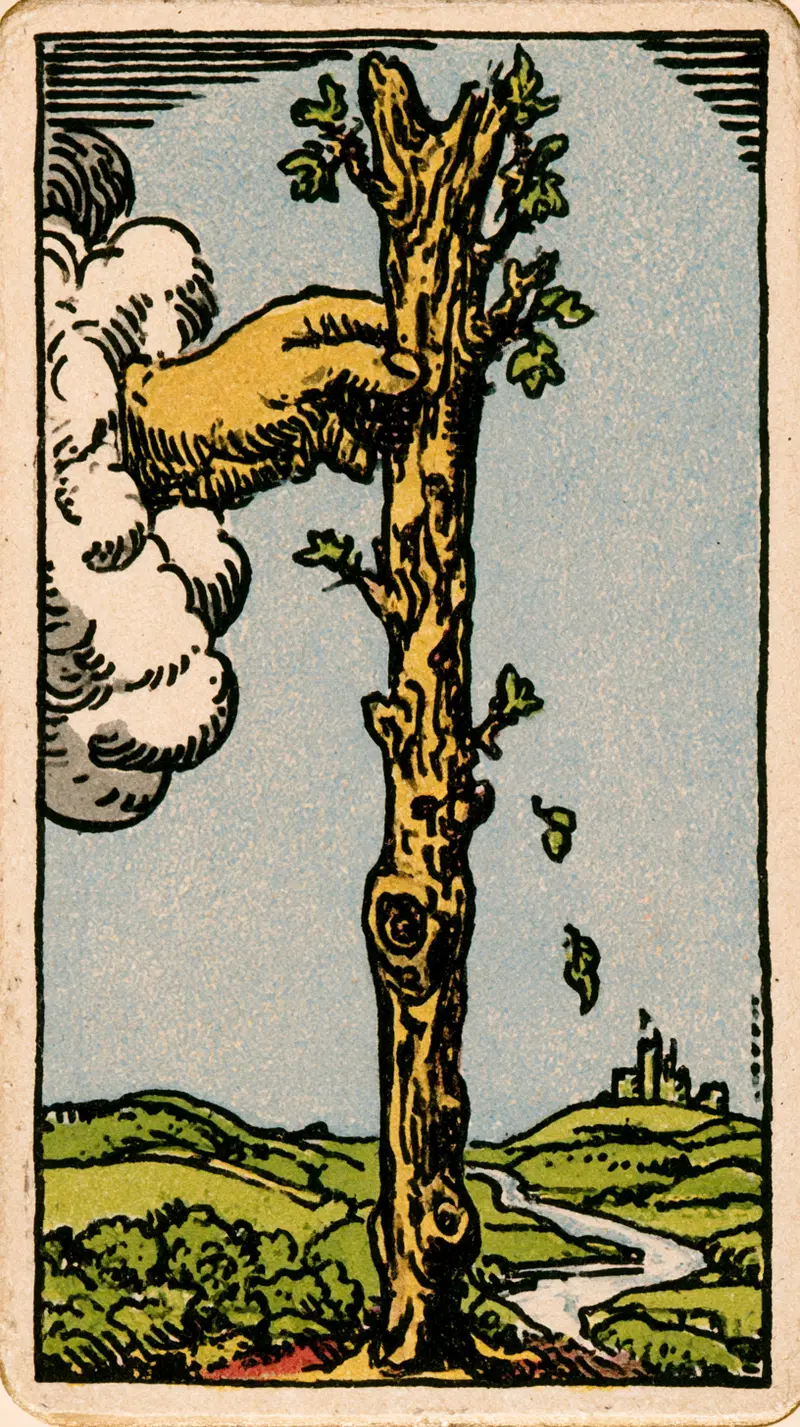 Illustration of a hand holding a blossoming wooden wand emerging from clouds