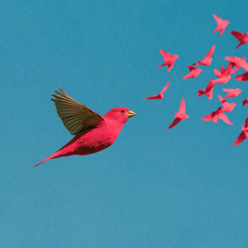 Surreal image of a large red bird flying toward a flock of smaller birds on blue