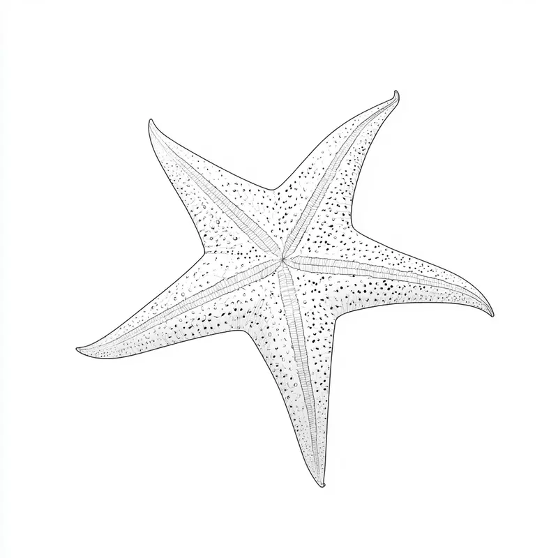 Detailed Ink Drawing of a Starfish with Textured Patterns