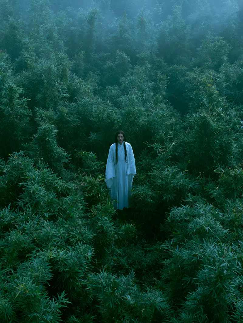 Surreal Contemporary Art Photograph of a Person in White Surrounded by Dense Greenery