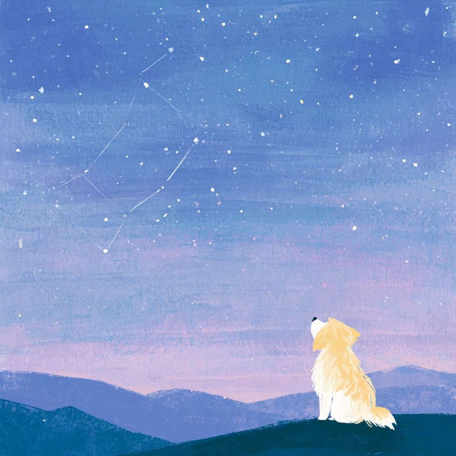 A digital artwork showing a light-colored dog sitting on a dark hill looking up at a blue and purple night sky filled with stars and a constellation