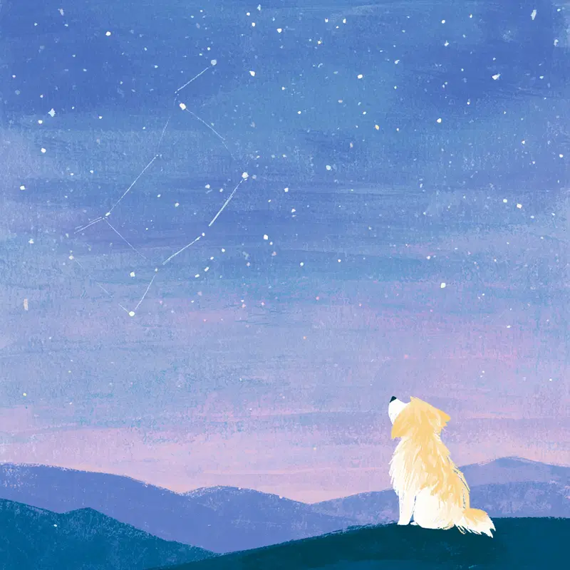 Digital painting of a dog sitting on a hill gazing at a starry night sky
