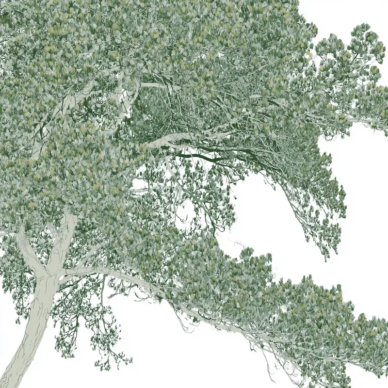 Detailed Botanical Illustration of Pine Tree Branches with Needles