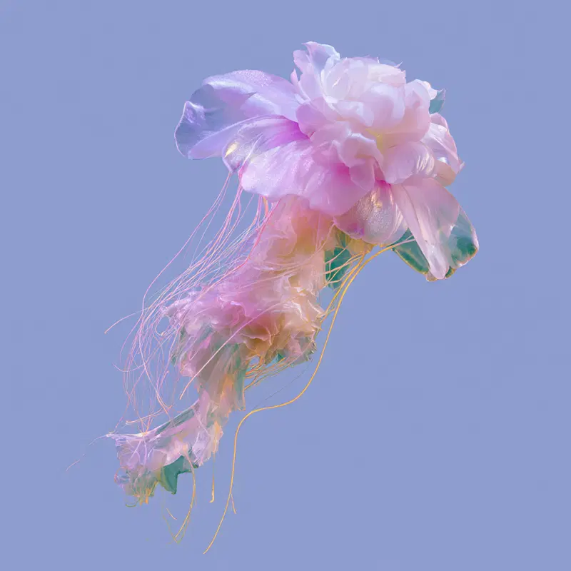 A delicate blend of floral and marine elements in a botanical illustration style