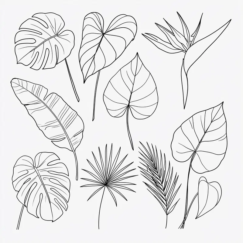 Detailed Black and White Botanical Line Art Illustrations of Tropical Leaves