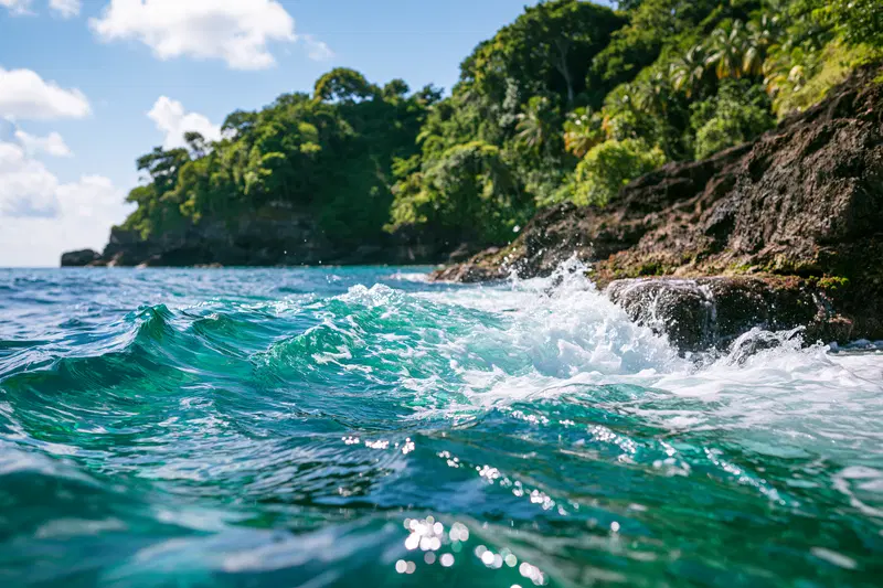 Vibrant ocean waves crashing against rocky coast with tropical greenery