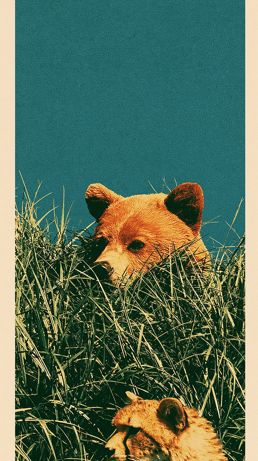 Art print with bear and cheetah heads peeking out from tall green grass with a solid teal background and tan border