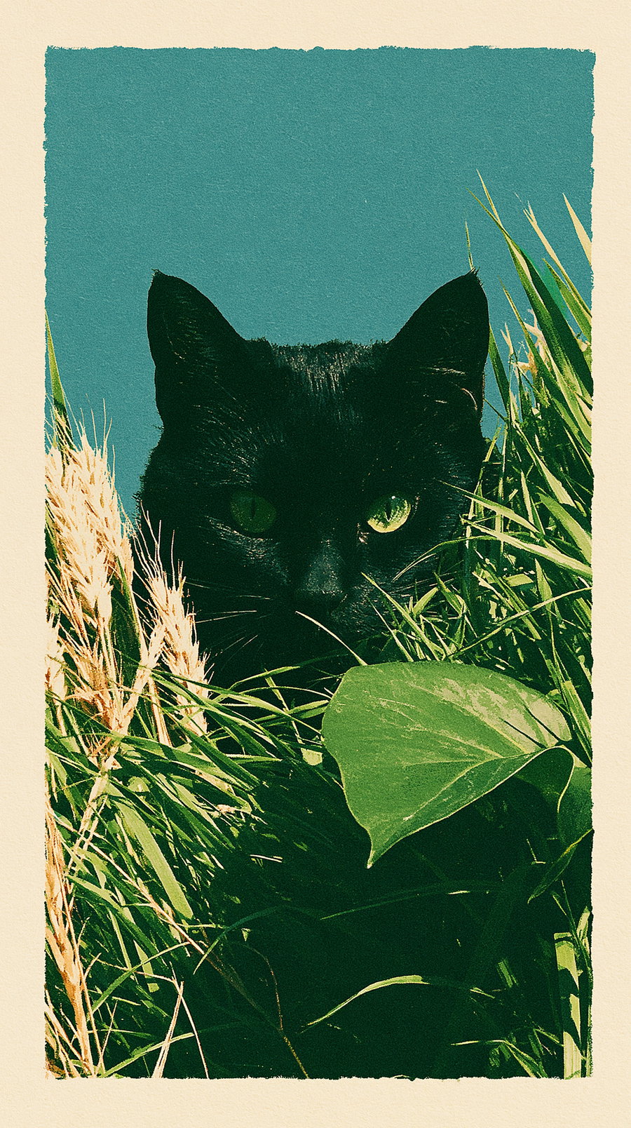 A retro-styled image of a black cat with green eyes peeking through tall grass and leaves against a blue background.