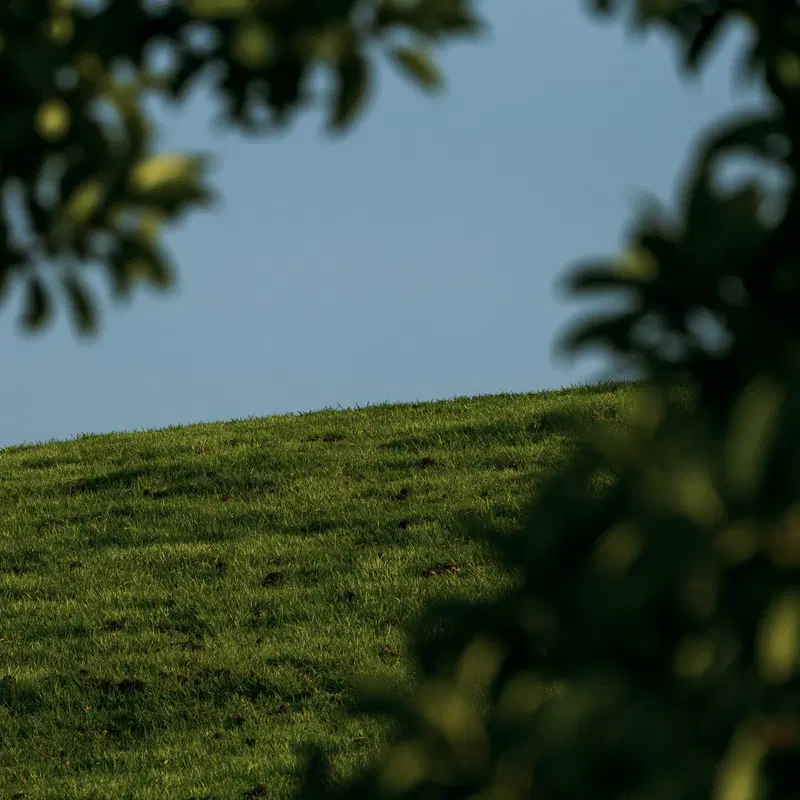 Simple Nature Inspired Art with a Green Hill Under Soft Blue Sky