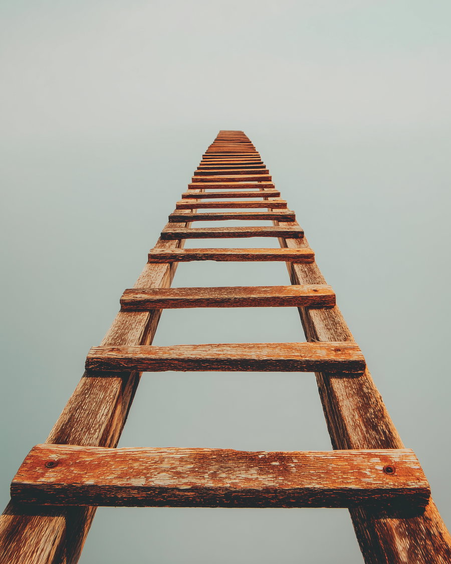 Old weathered wooden ladder extending forward into thick fog with no visible end