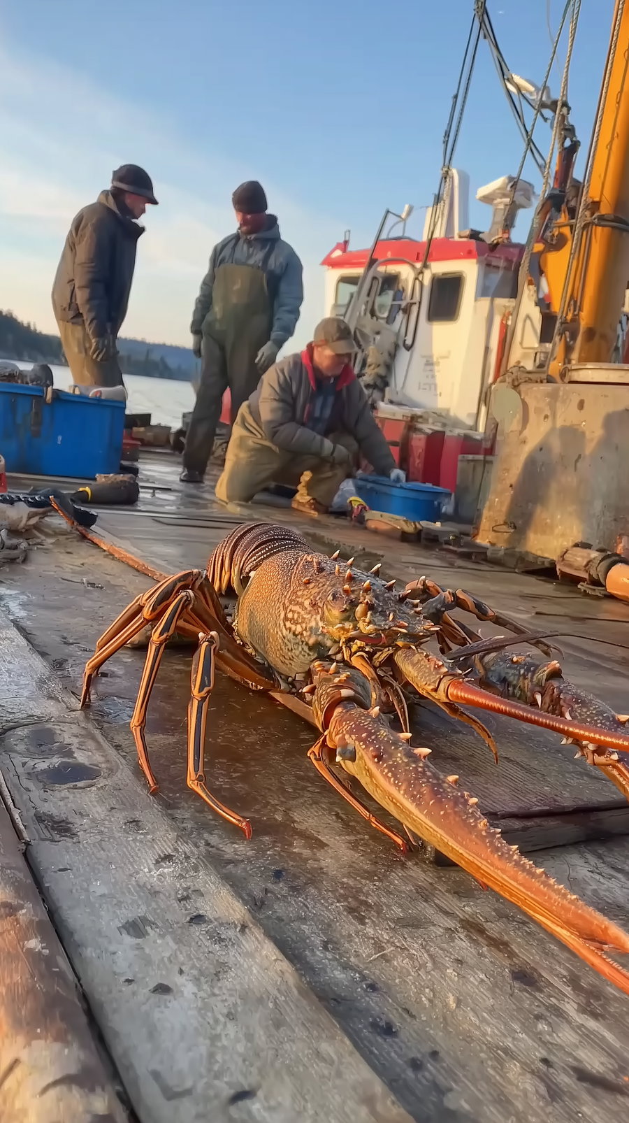 A large brown lobster on a wooden deck of a fishing boat with three fishermen in waterproof clothing working and fishing equipment around