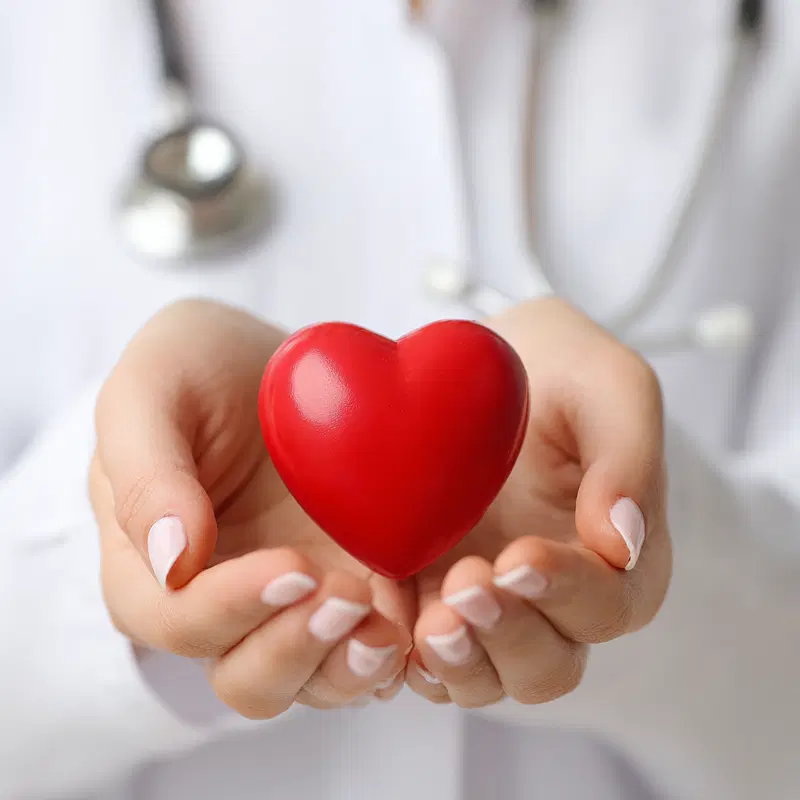 Close-up of hands holding a bright red heart with a stethoscope in background