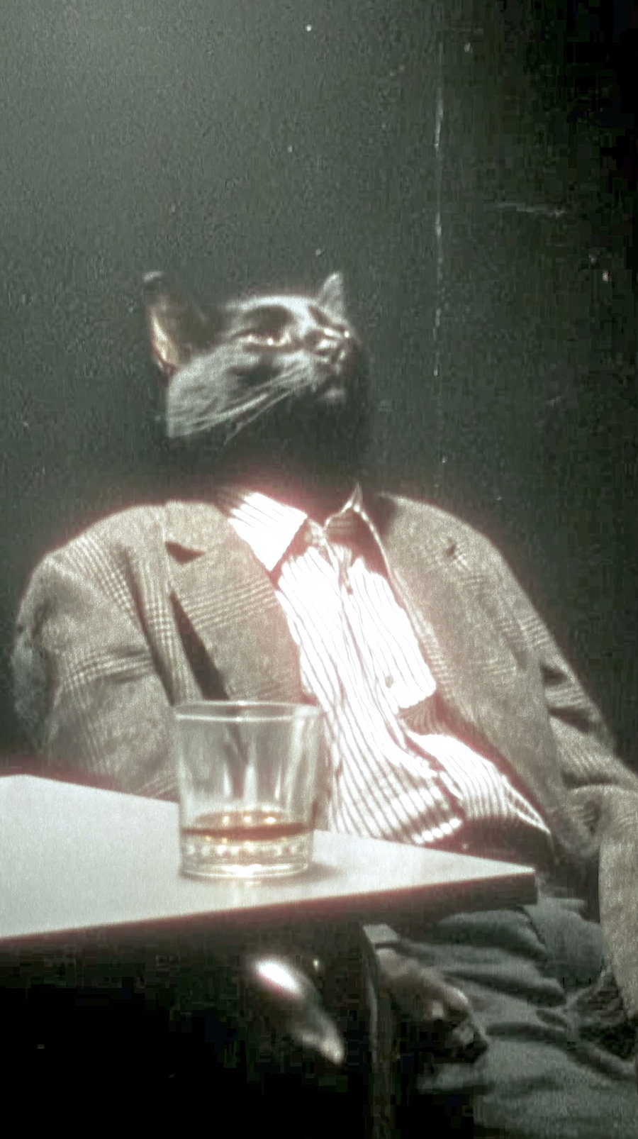 A surreal image of a figure with a cat's head dressed in a suit and striped shirt, sitting back with a drink on the table in front.