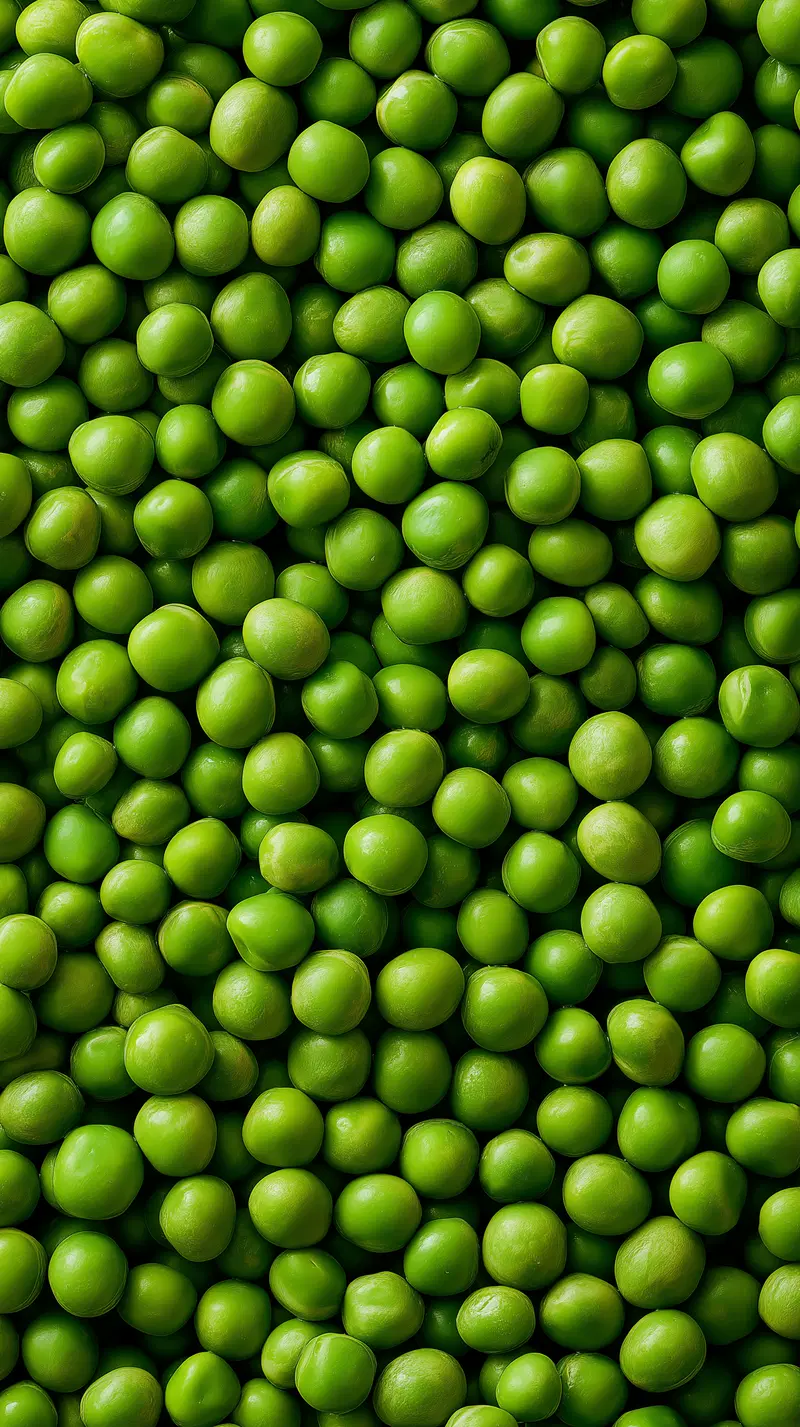 Close-up of vibrant green fresh peas arranged in a dense pattern