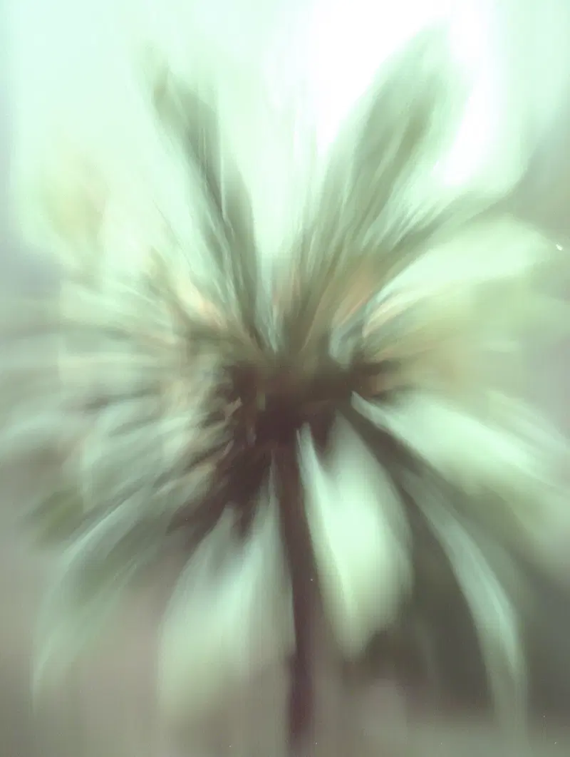 Abstract blurred image resembling a palm tree with motion effect