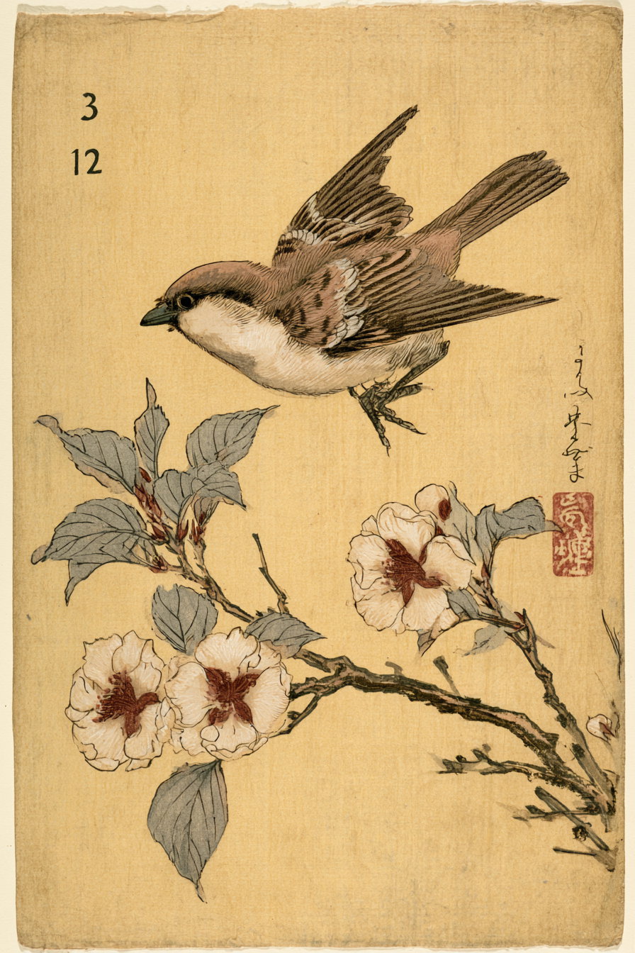 An artwork showing a sparrow in flight near a blooming branch with pale flowers and green leaves on a beige background with Japanese characters and stamps.