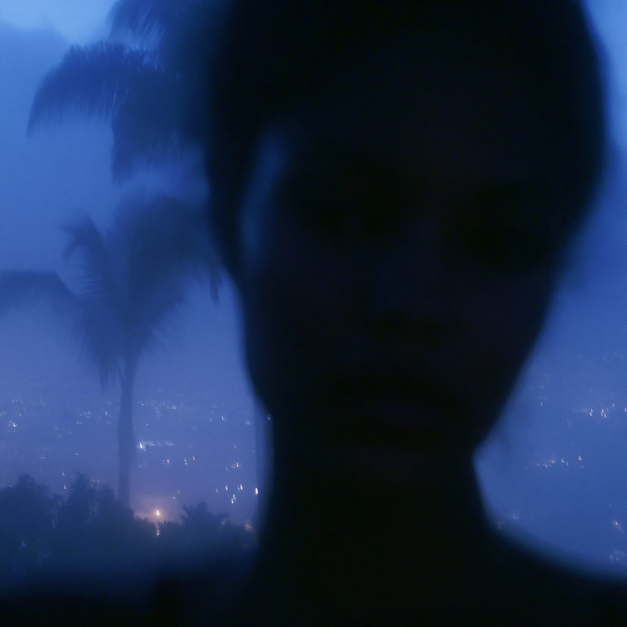 Silhouette of a person's head and upper shoulders in shadow against a blurred background featuring a palm tree and distant city lights shining through a blue haze