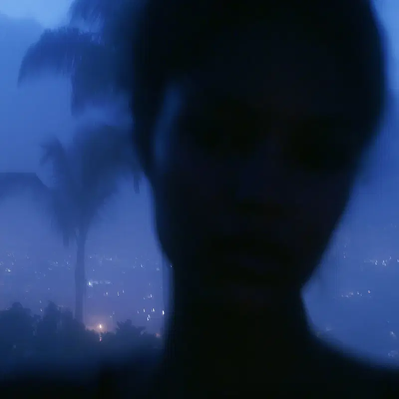 Moody blue-toned silhouette of a person with a palm tree and city lights in the background