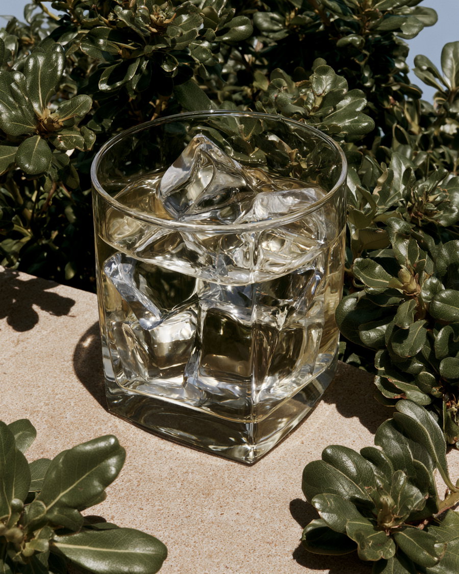 A clear glass filled with ice cubes and water, placed on a stone surface with green leafy plants around it under sunlight