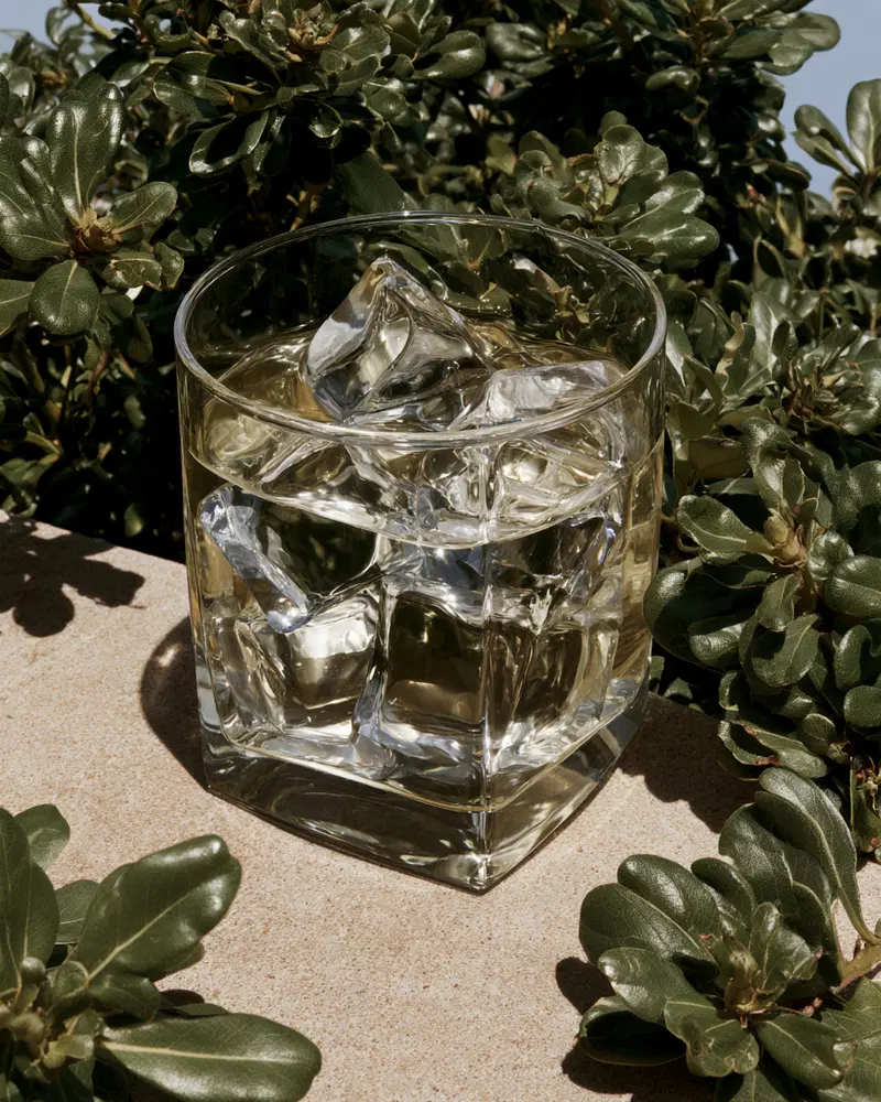 Still life photograph of a glass with ice cubes surrounded by green leaves