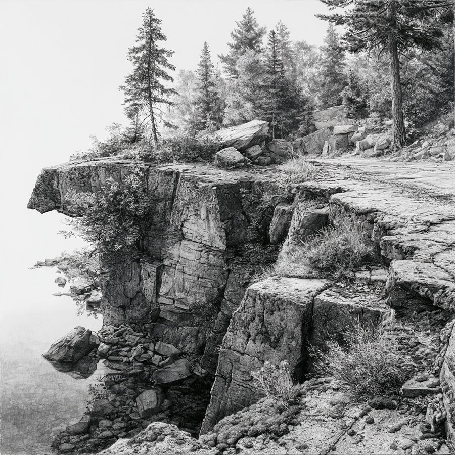 A highly detailed black and white drawing showing a rocky cliff with scattered rocks and a forest in the background, featuring tall trees and intricate textures on the rocks and plants.