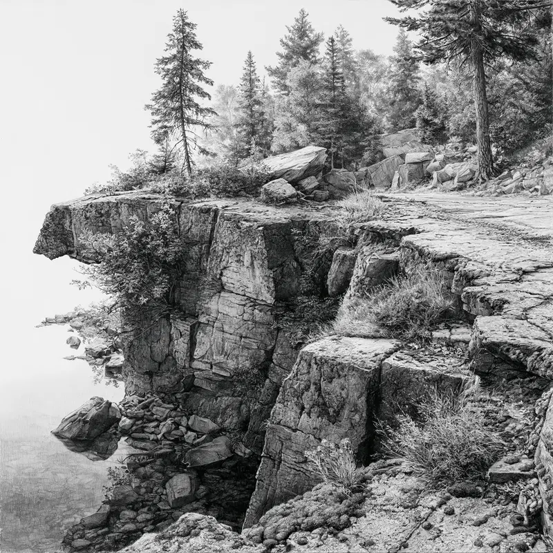 Detailed Black and White Drawing of Rocky Cliff and Forest Landscape