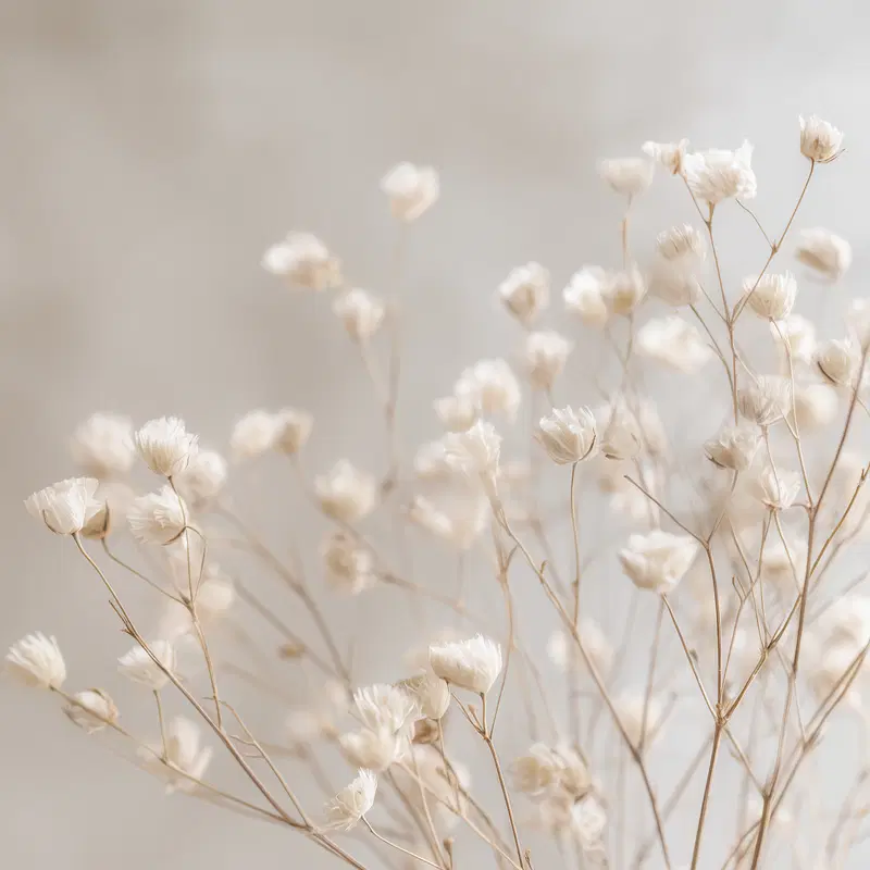 Delicate close-up of dried white flowers in soft neutral tones
