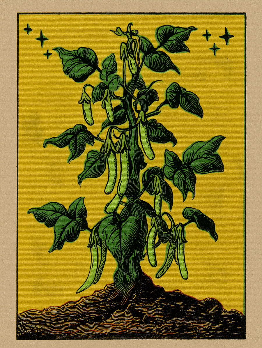 illustration of a green pea plant with leaves and pea pods growing from brown soil on a yellow background with small star-like shapes
