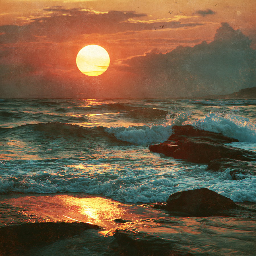 Sunset with a large sun setting over the ocean, waves crashing on rocky shore, and birds flying in the sky