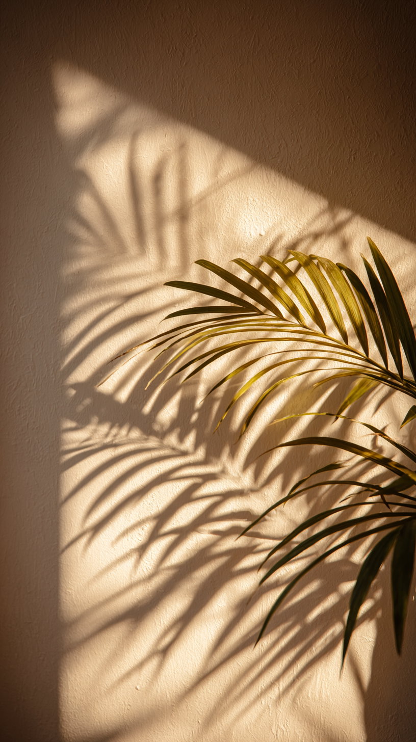 Green palm leaves casting detailed shadows on a textured beige wall under warm sunlight