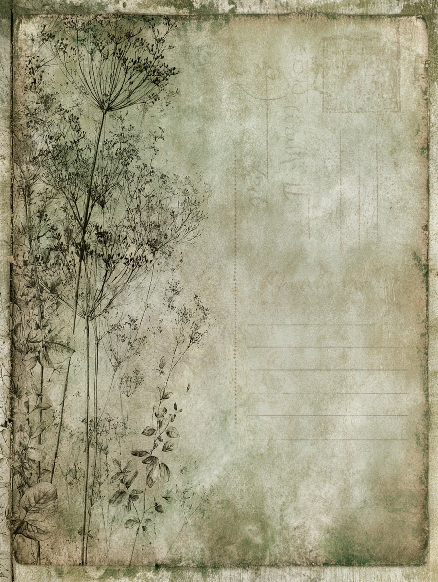 Aged paper background featuring delicate line drawings of tall, thin-stemmed plants and flowers with leaves, rendered in muted shades of green and brown