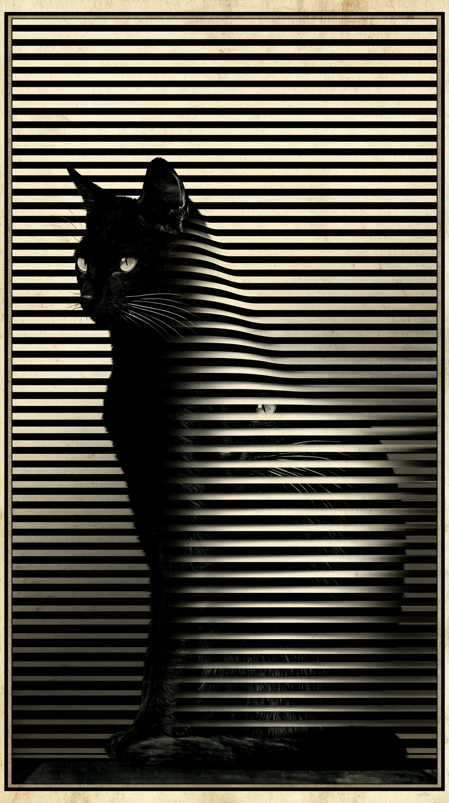 Black cat sitting with horizontal black stripes creating a visual distortion against a beige background