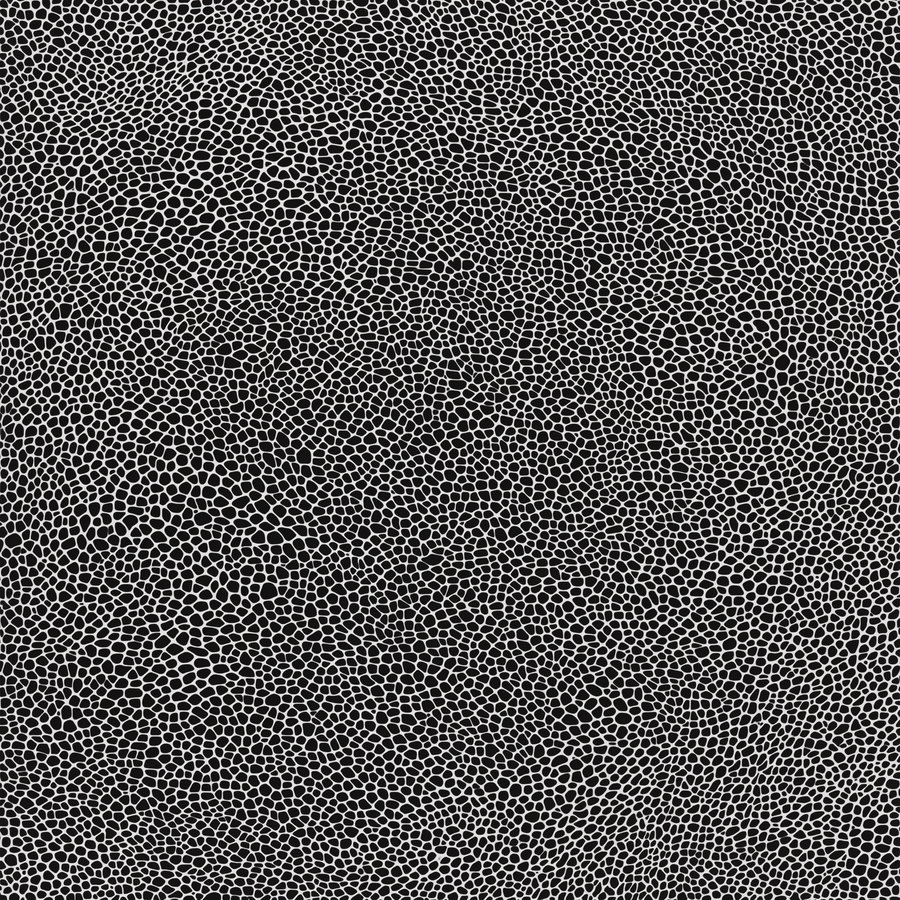 Black background filled with irregular pebble-shaped white outlines forming an abstract pattern