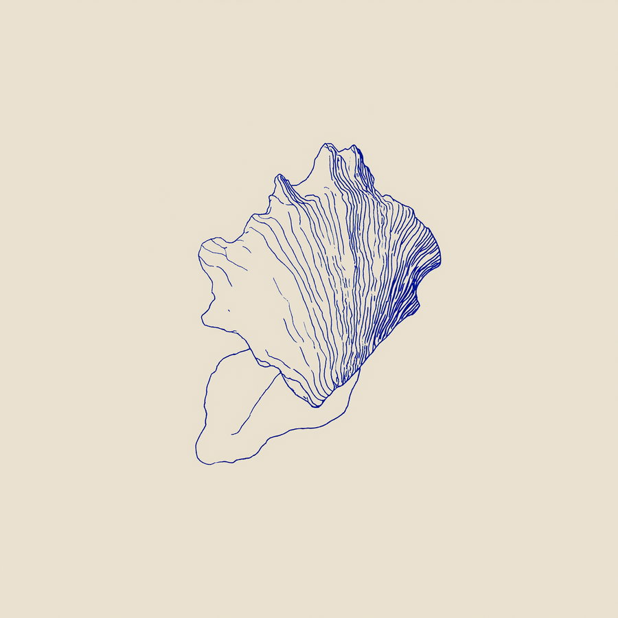 Single line art illustration of a leaf with detailed veins in blue on a plain beige background