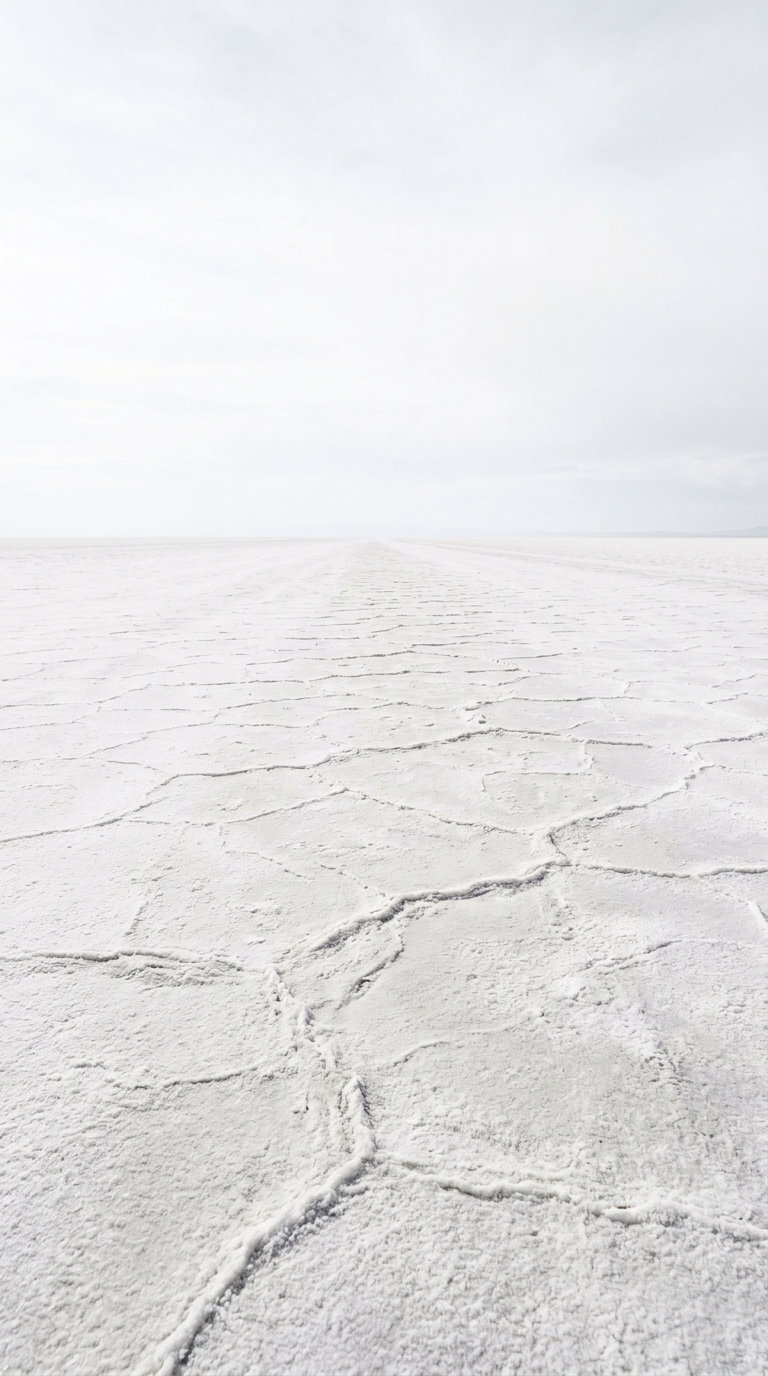 Wide open white cracked salt flat with hexagonal patterns extending to horizon under a pale cloudy sky