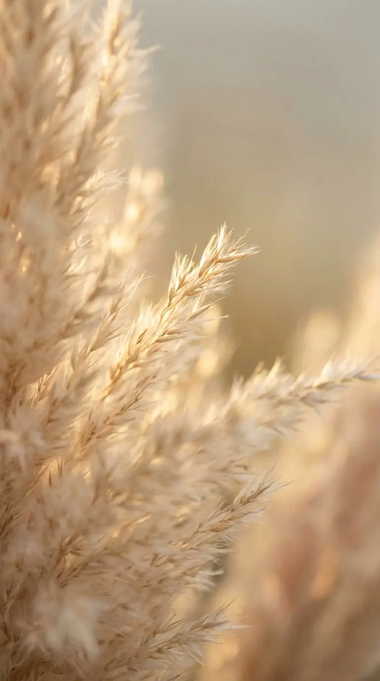 Close-up of soft beige pampas grass in natural light with blurred background