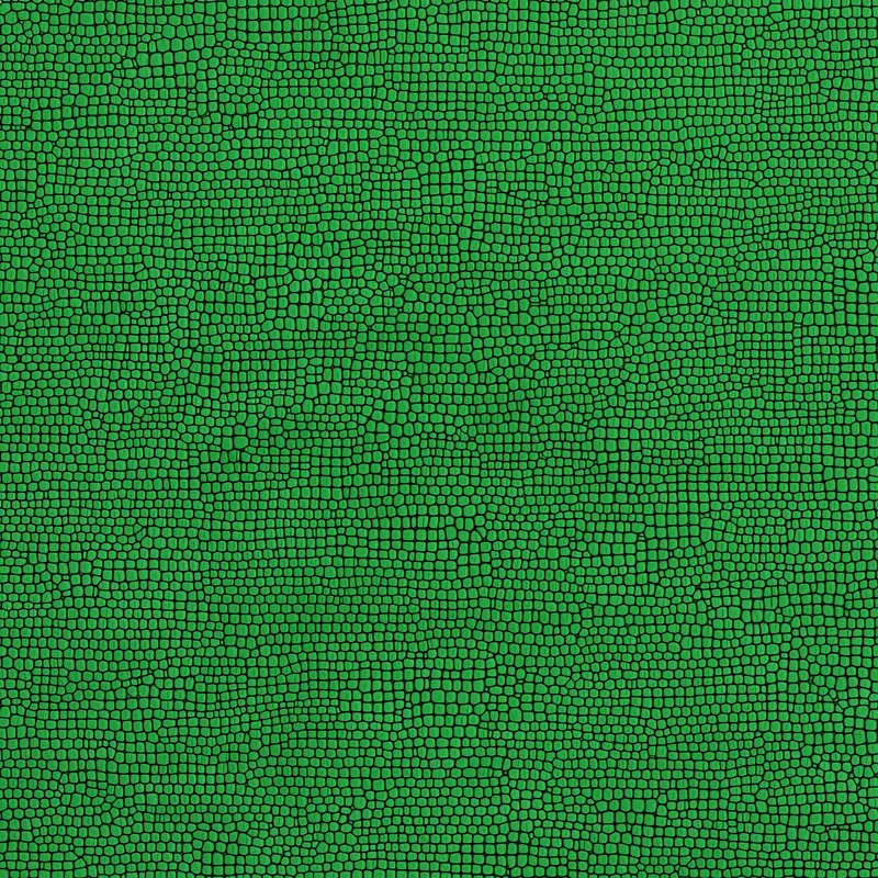 Close-up pattern resembling small irregular green organic cells with black outlines