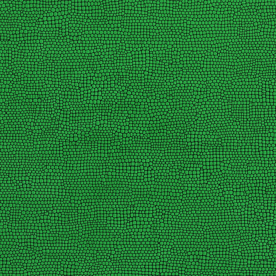 Abstract green texture with small irregular shaped cells outlined in black, resembling reptile or mosaic skin