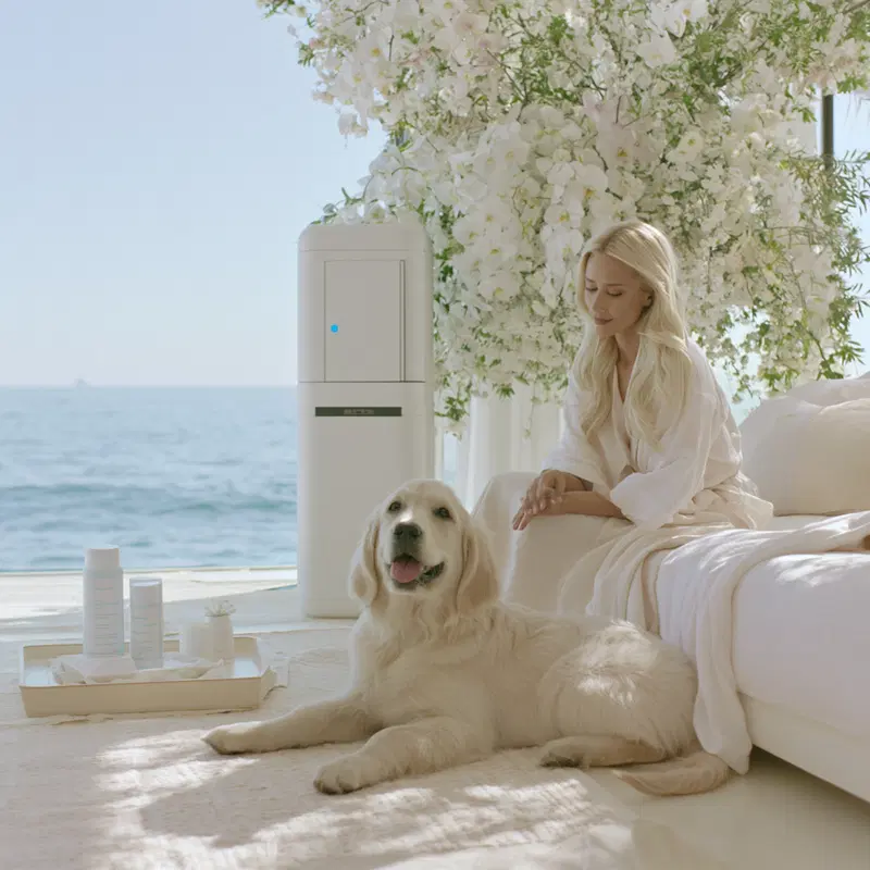 Serene indoor scene with a golden retriever and a woman by the sea