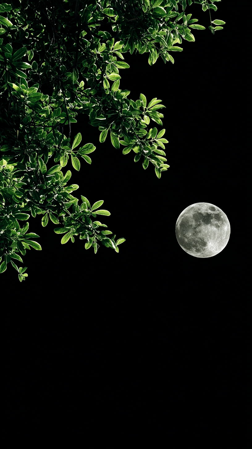Bright full moon on the right side with vivid green leaves and branches against a pitch black night sky background