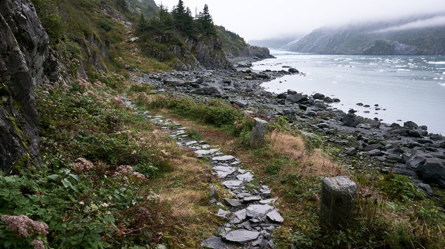 A rocky and grassy hiking path along a coastline with rocks, greenery, pine trees, calm water with floating ice, mountain cliffs, and a glacier in the distance under cloudy sky.