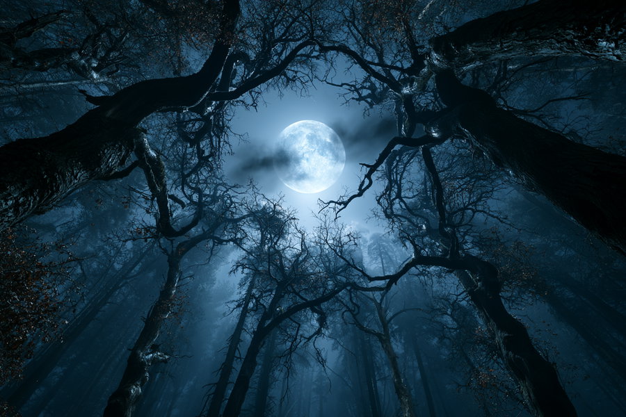 Dark forest viewed from below with twisted bare tree branches and a glowing full moon in a misty night sky