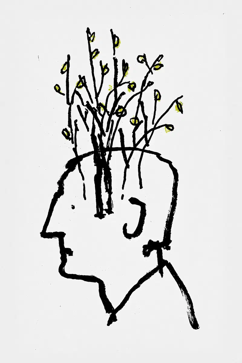 Silhouette of a Human Head with Tree Branches Illustration