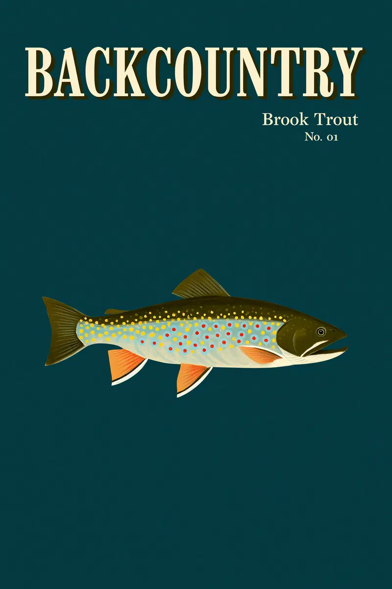 Vintage Wildlife Magazine Cover Featuring Brook Trout Illustration
