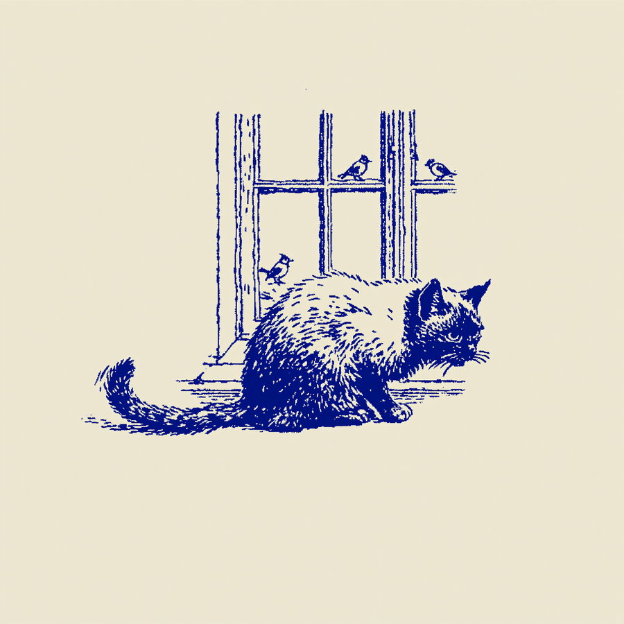 A cat crouched on a windowsill, focusing on birds outside, with a clean negative space background.