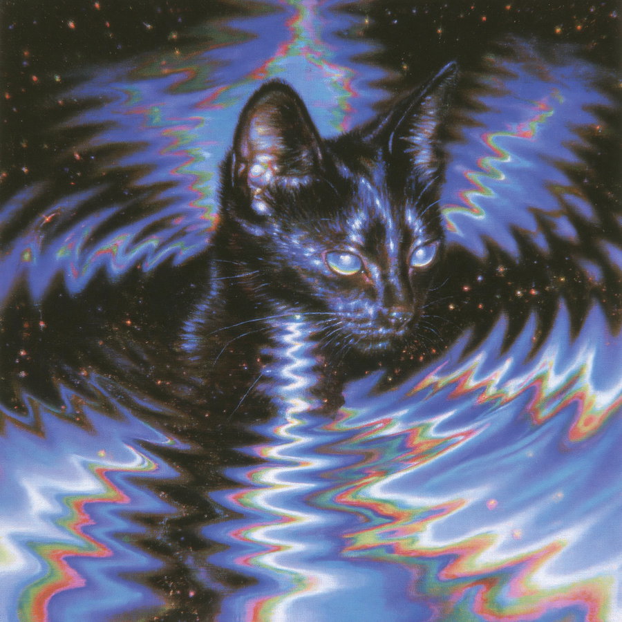 A black cat with glowing blue eyes, appearing to ripple and blend into a colorful cosmic background with swirling patterns.