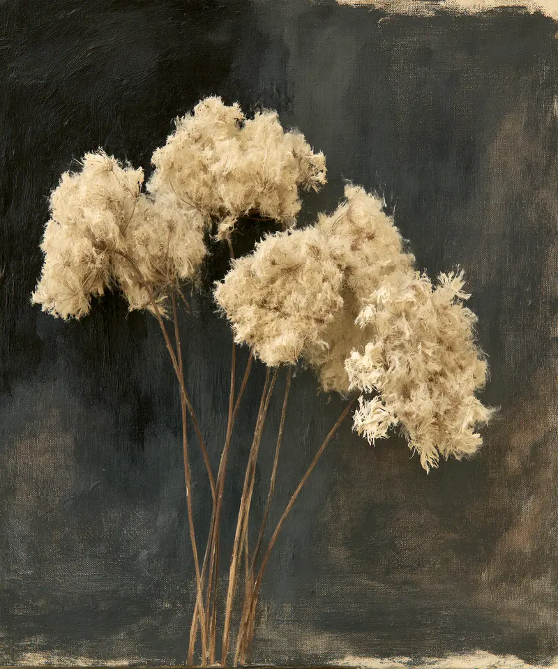 Elegant Painting of Dried Cream Colored Wildflowers on Dark Background
