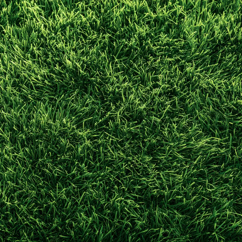 Lush Green Lawn Textures in Earthy Tones