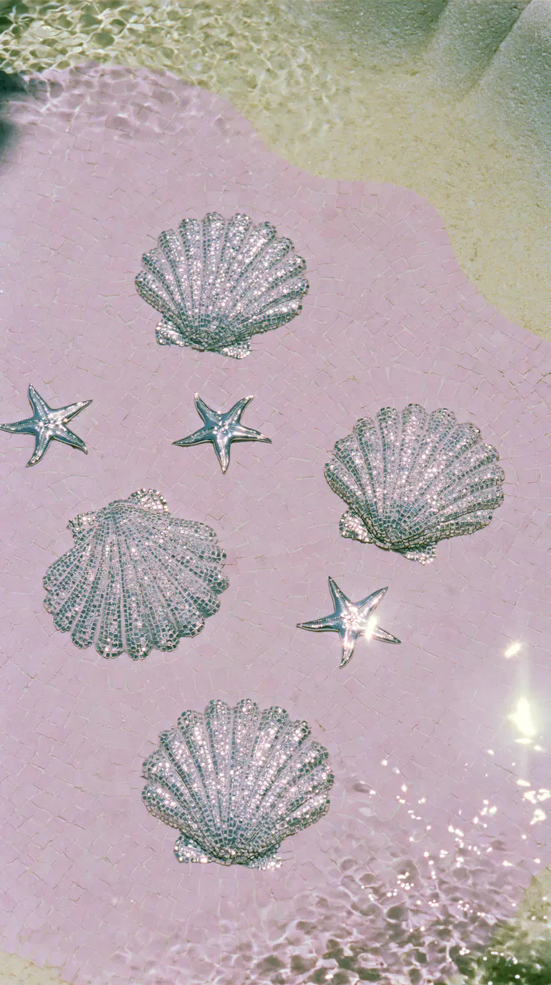 Overhead Photography of Silver Shells in Stone Mosaic Fountain