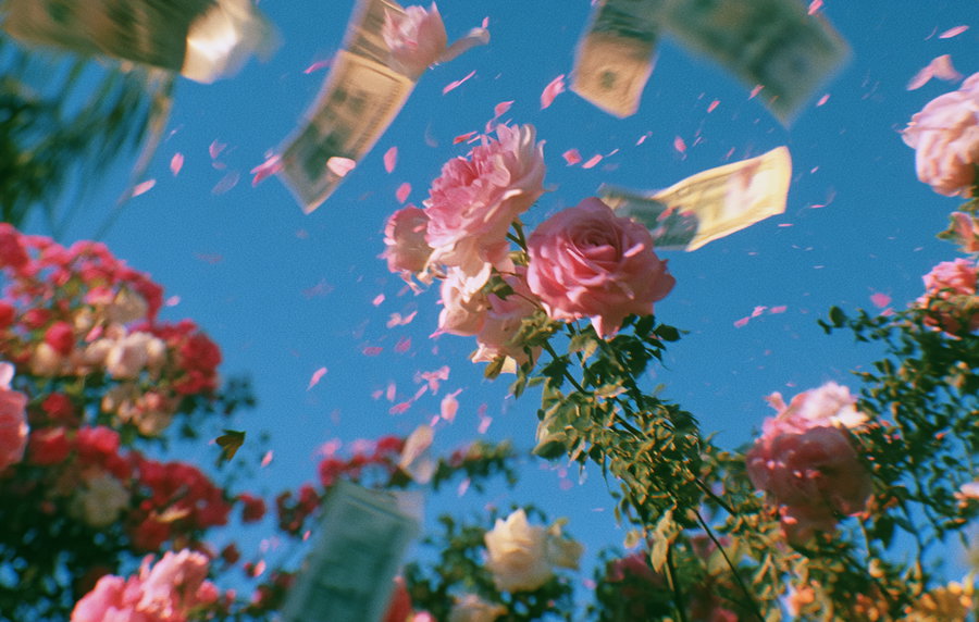 A garden scene filled with blooming pink roses, with cash falling amidst the flowers, captured in motion blur under bright sunlight.